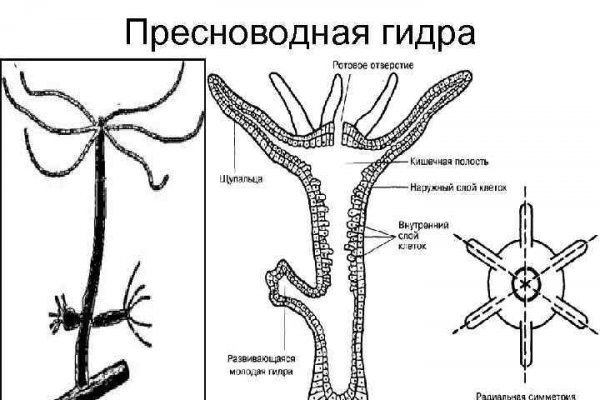 Доступ кракен